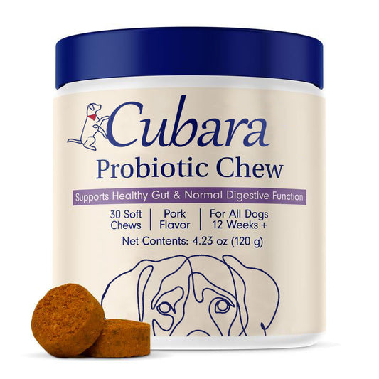 Probiotics for Dogs